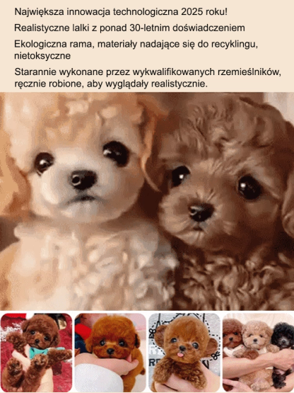 [Bliska interakcja] Inteligentna zabawka dla psa trzeciej generacji 🐶 Doskonałe wykonanie, odporność na zarysowania i ugryzienia 💎