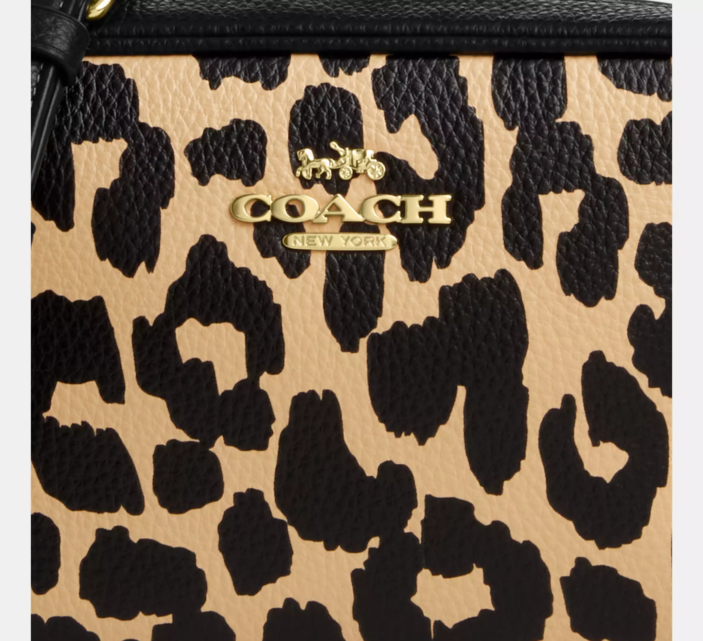 Mini Jamie Camera Bag With Leopard Print