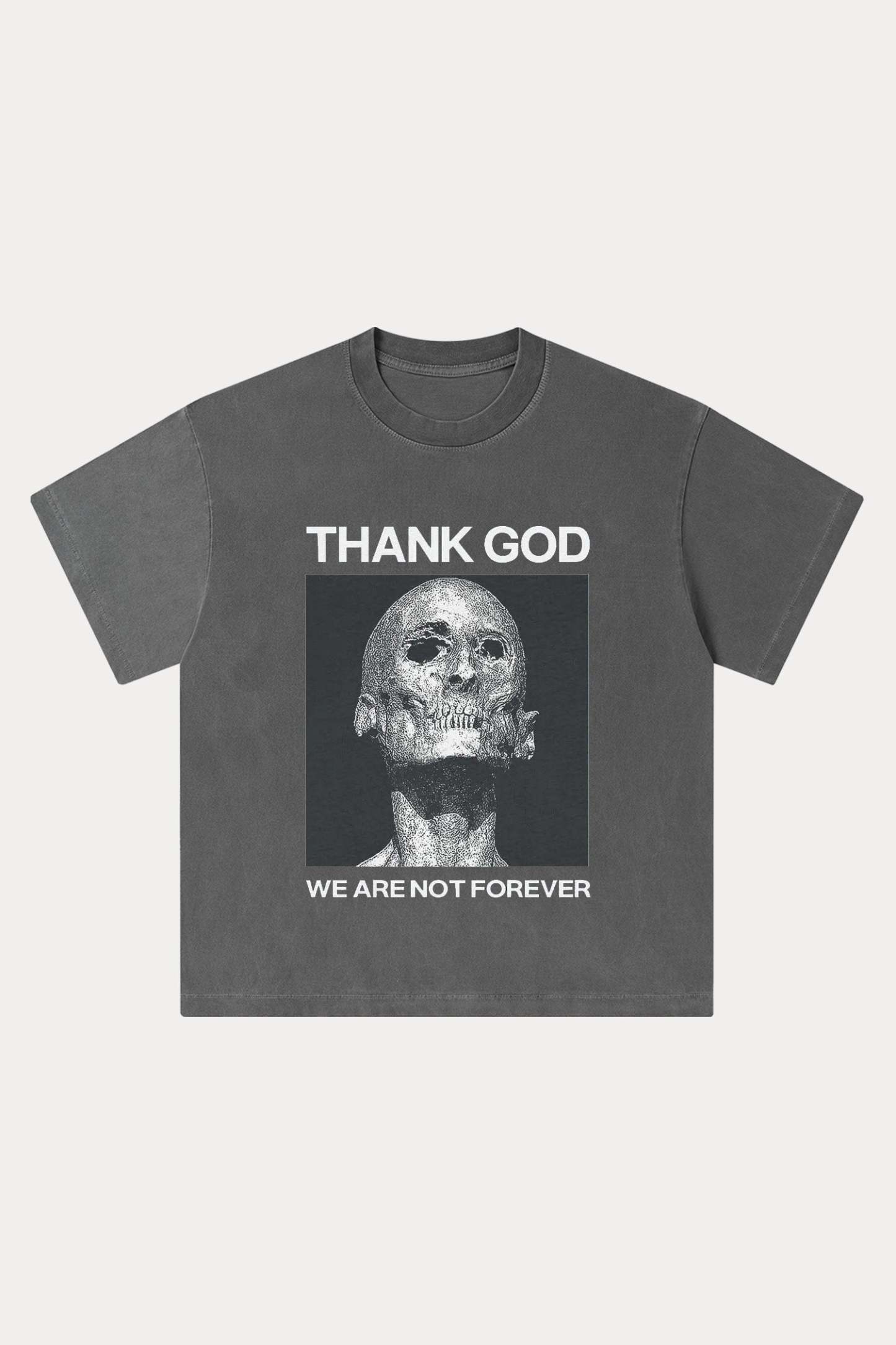 Evilnova We Are Not Forever Washed Streetwear T-Shirt-Evilnova