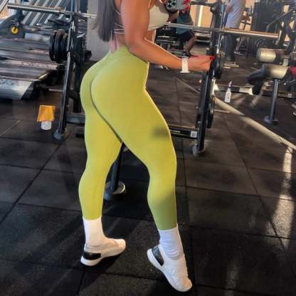 Sylesty™ V-Back Gym Leggins