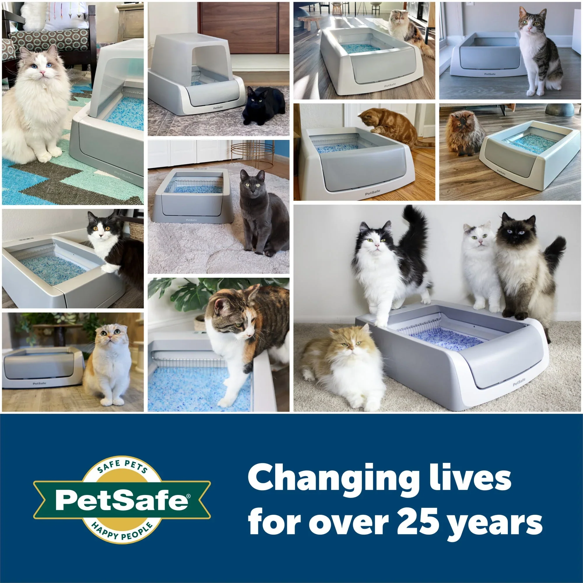 PetSafe ScoopFree Complete Replacement Blue Crystal Litter Tray 6-Pack Easy Cleanup with Disposable Tray Includes Leak Protection and Low Tracking Litter