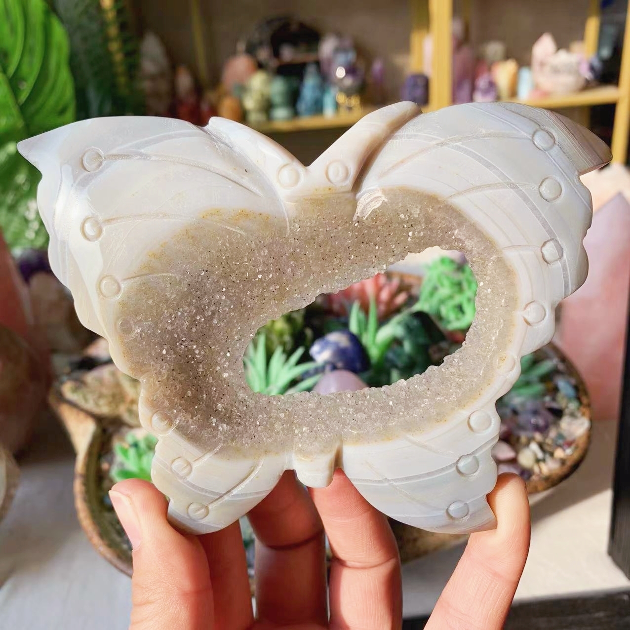 【Weekly Flash Deals】Carving 123