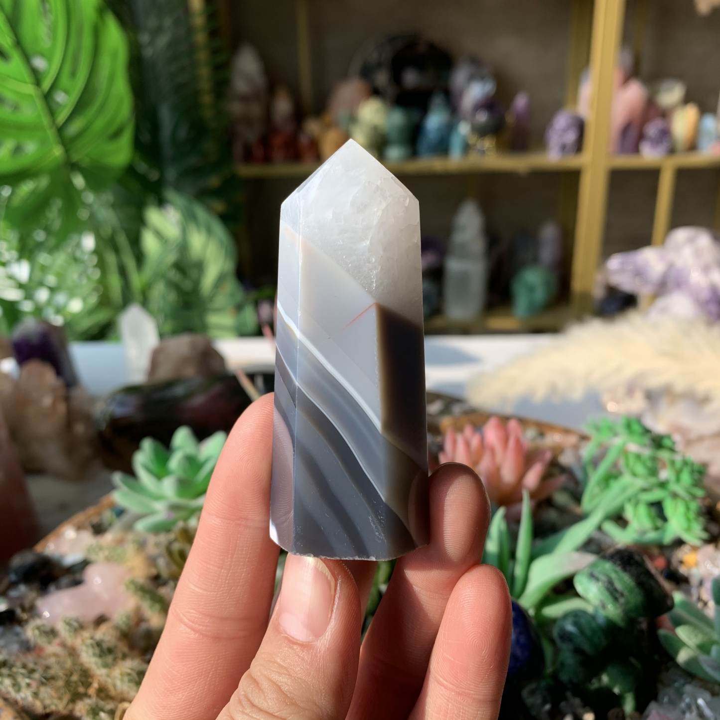 【Weekly Flash Deals】Carving 105