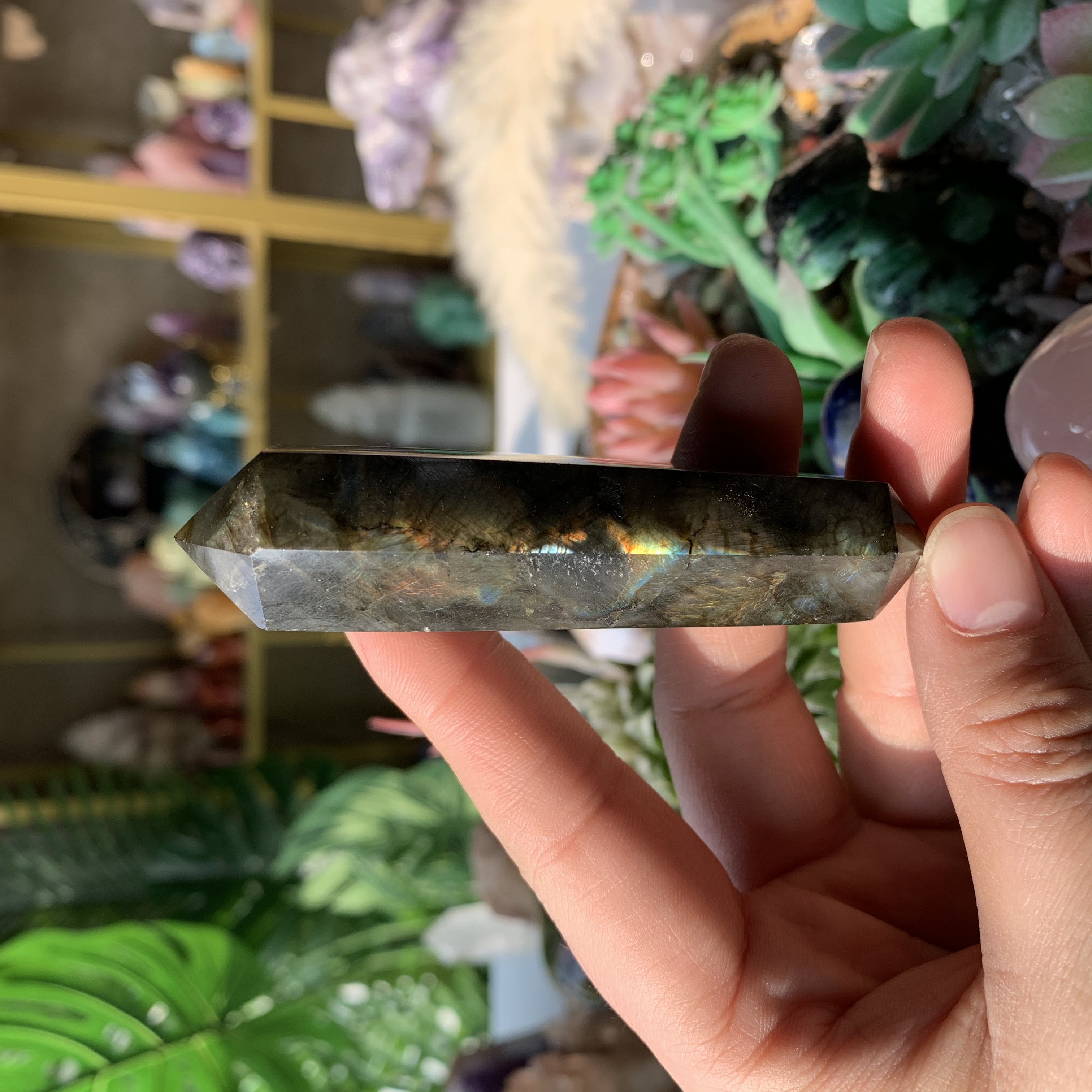 【Weekly Flash Deals】Carving 106