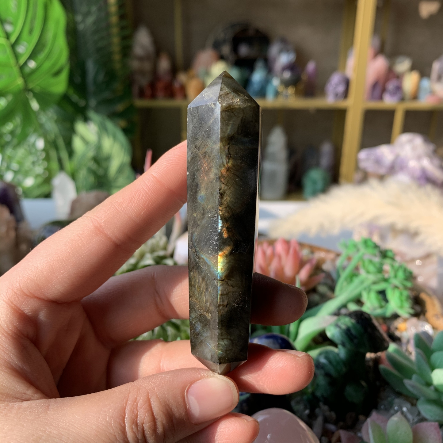 【Weekly Flash Deals】Carving 106