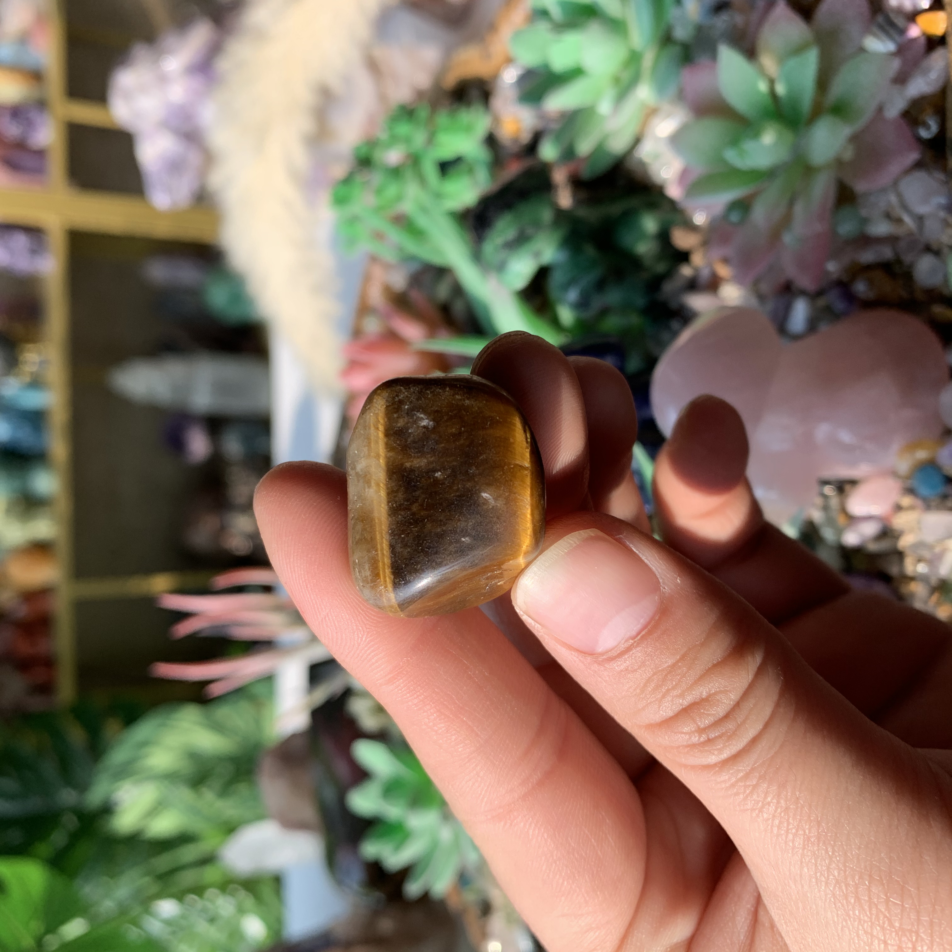 【Weekly Flash Deals】Carving 106