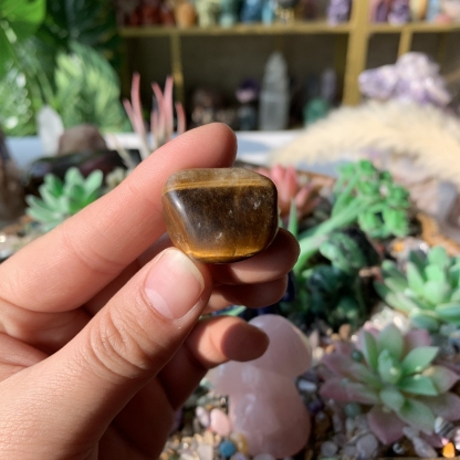 【Weekly Flash Deals】Carving 106