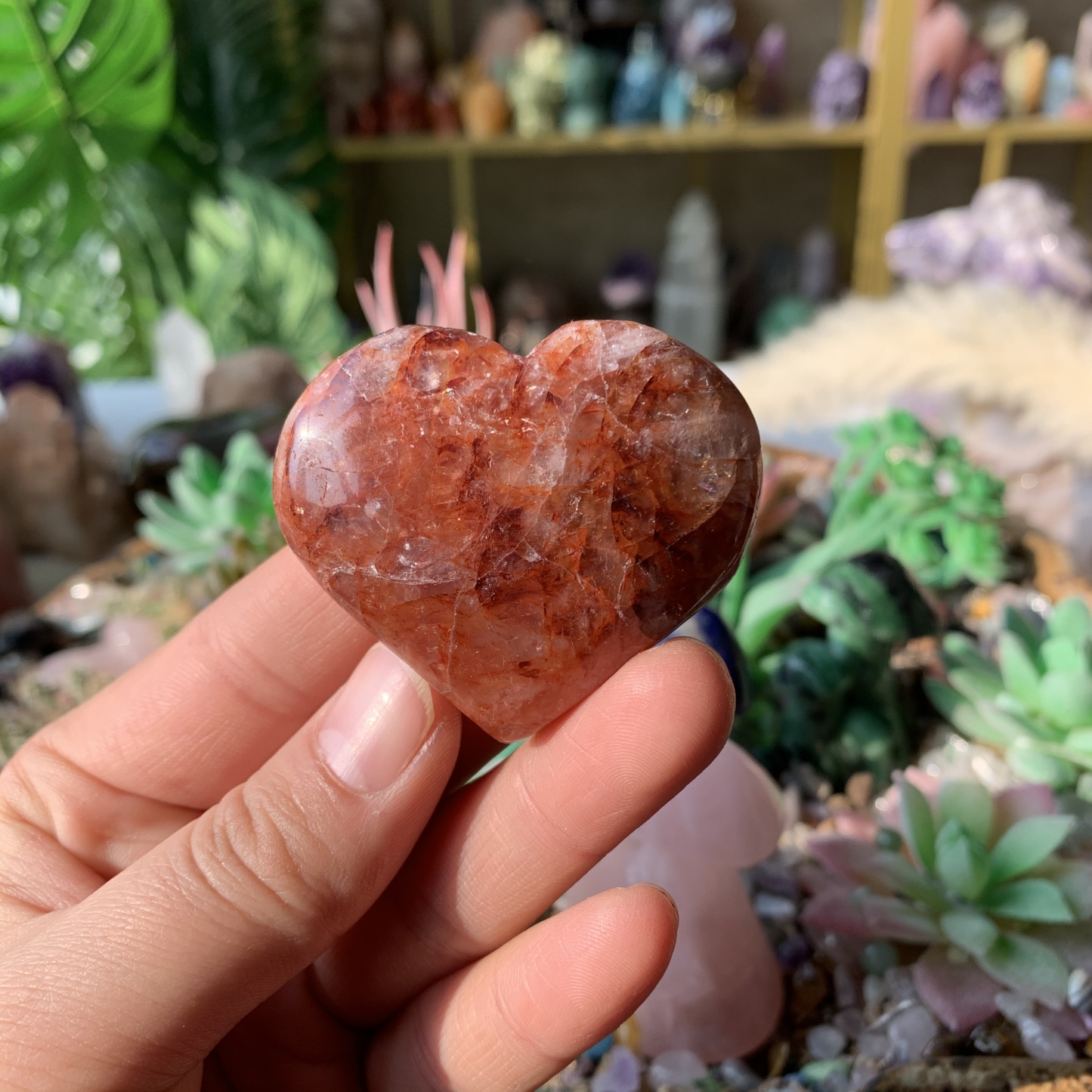 【Weekly Flash Deals】Carving 115