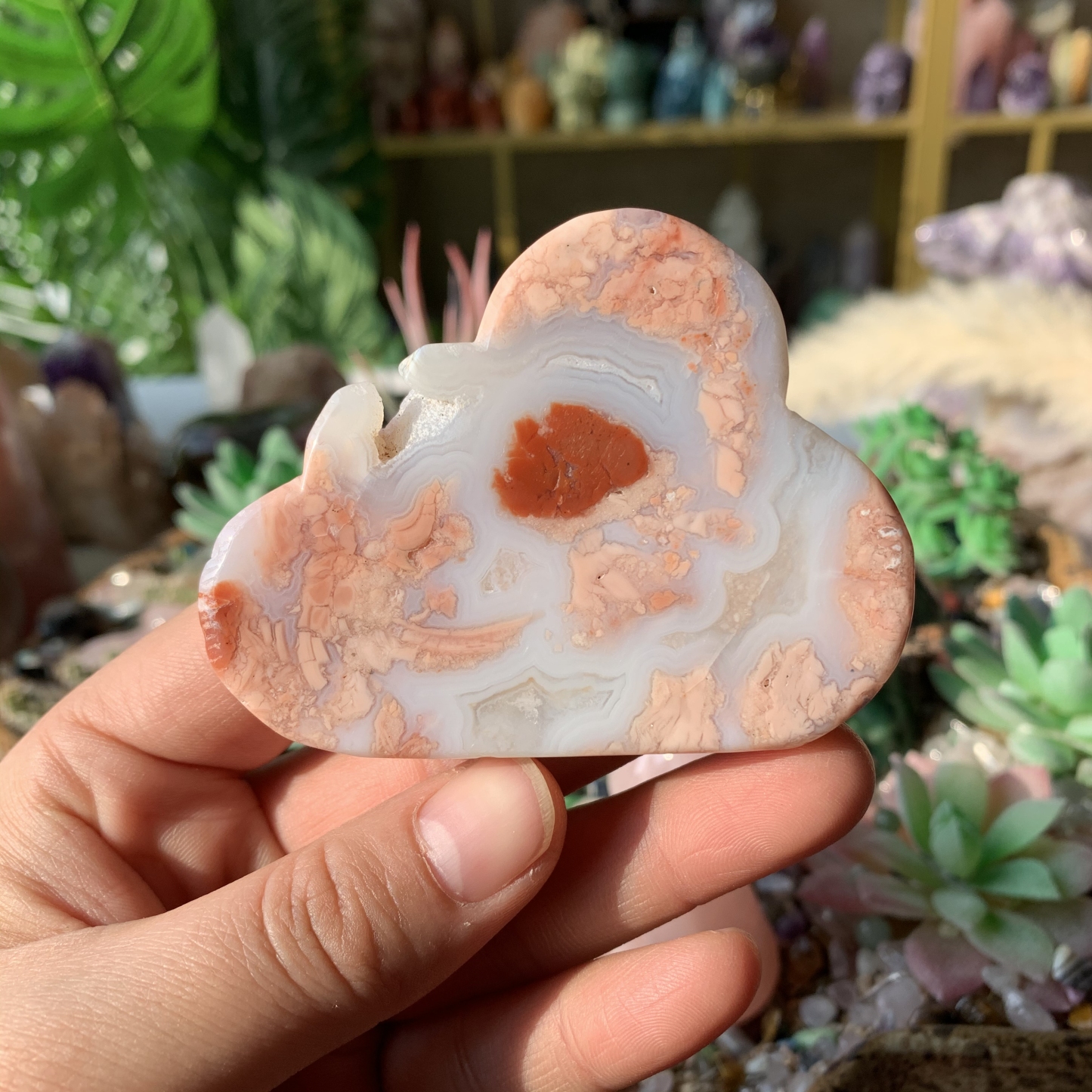 【Weekly Flash Deals】Carving 111