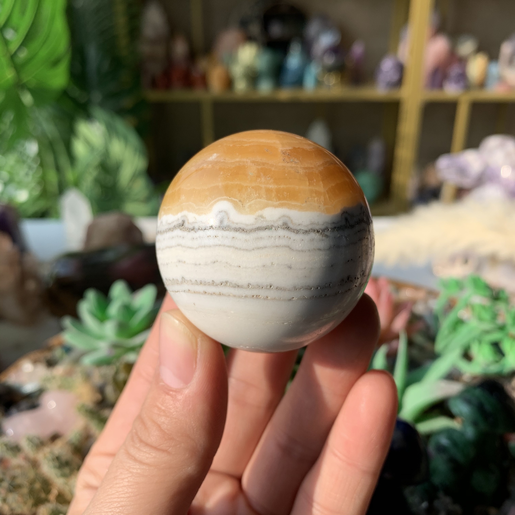 【Weekly Flash Deals】Carving 109