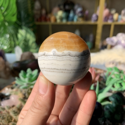 【Weekly Flash Deals】Carving 109