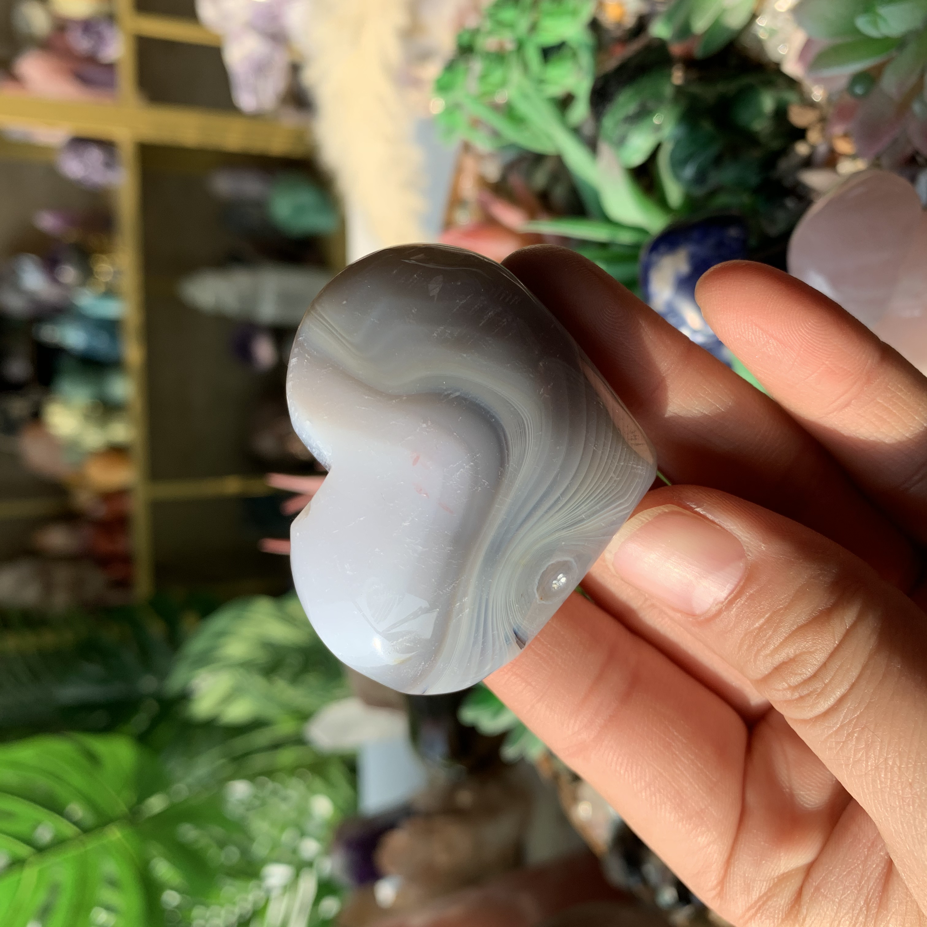 【Weekly Flash Deals】Carving 109