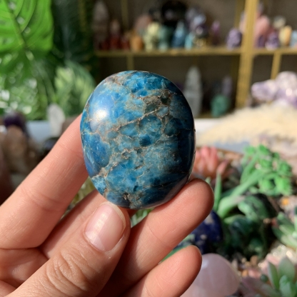 【Weekly Flash Deals】Carving 107