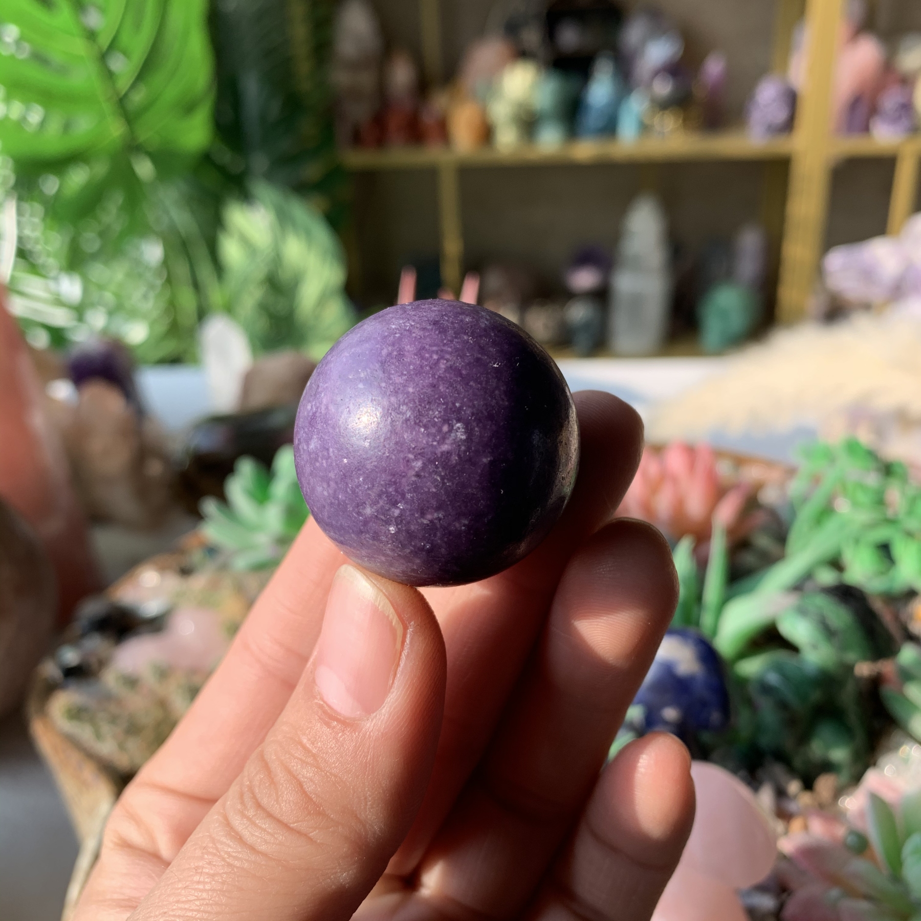 【Weekly Flash Deals】Carving 112