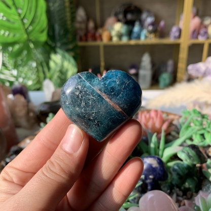 【Weekly Flash Deals】Carving 117