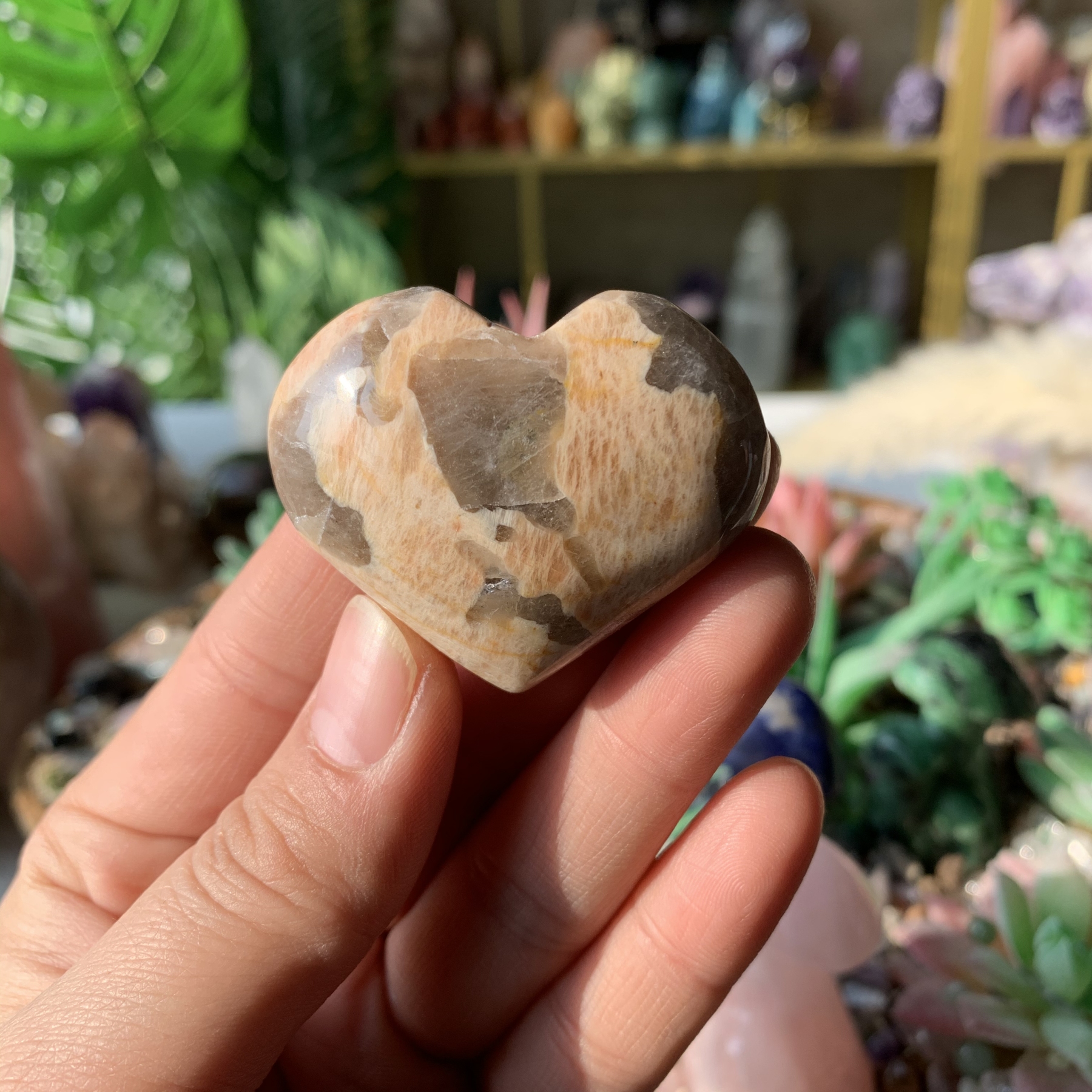 【Weekly Flash Deals】Carving 105