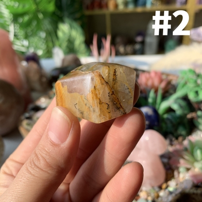 【Weekly Flash Deals】Dendritic Golden Healer Free Form