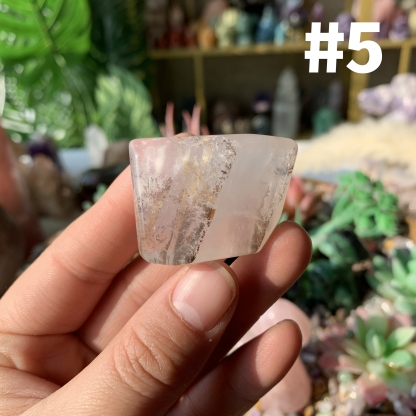 【Weekly Flash Deals】Dendritic Golden Healer Free Form