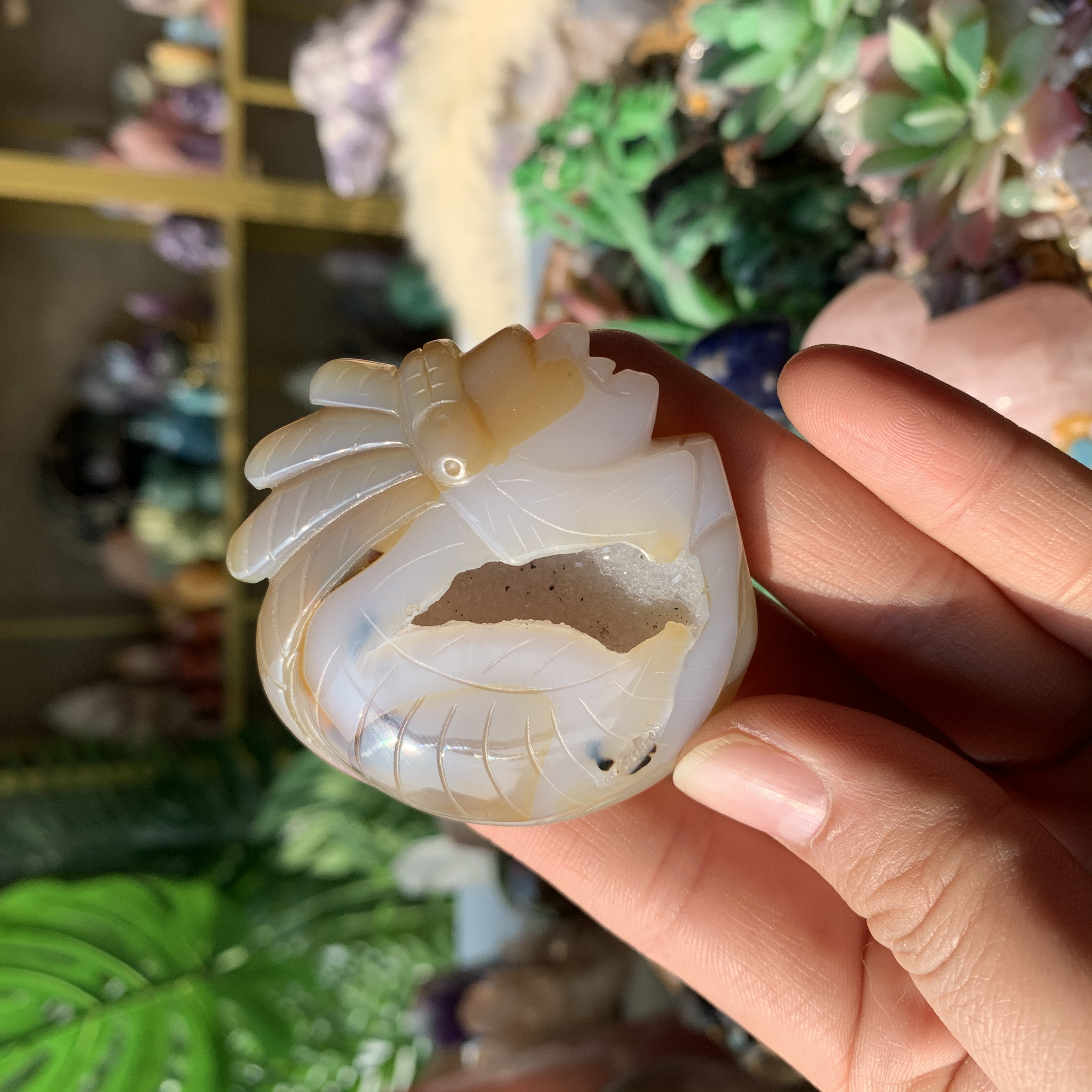 【Weekly Flash Deals】Druzy Agate Carving