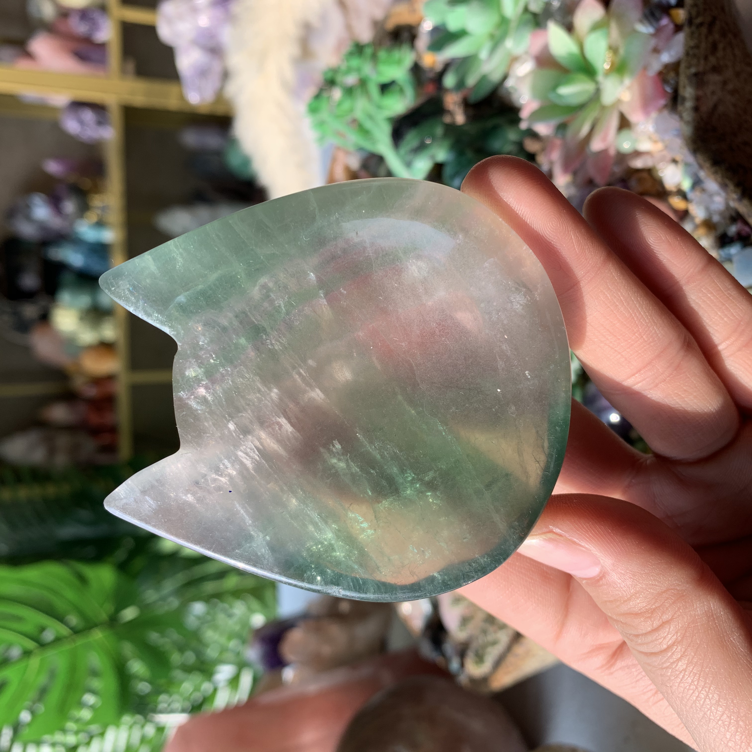 【Weekly Flash Deals】Carving 117