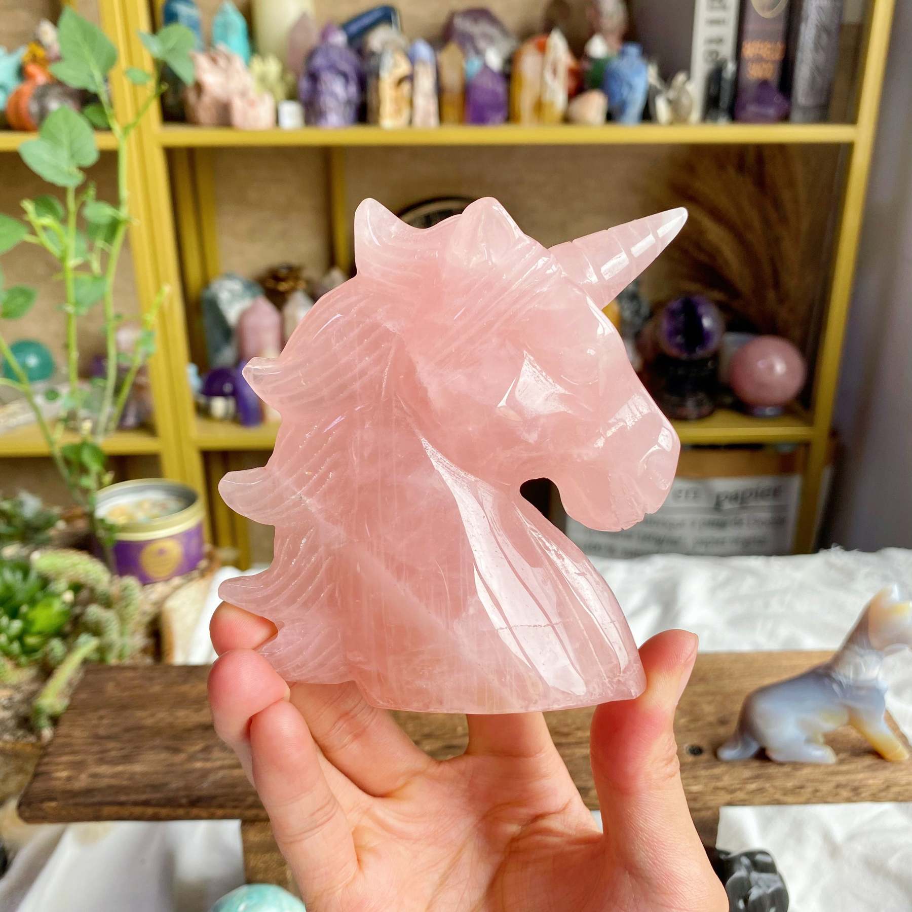 【Weekly Flash Deals】Carving 71