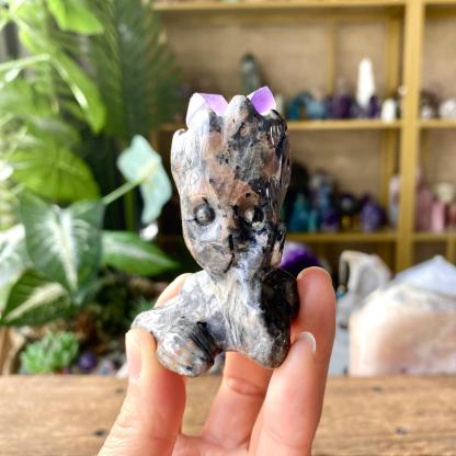 【Weekly Flash Deals】Carving 100