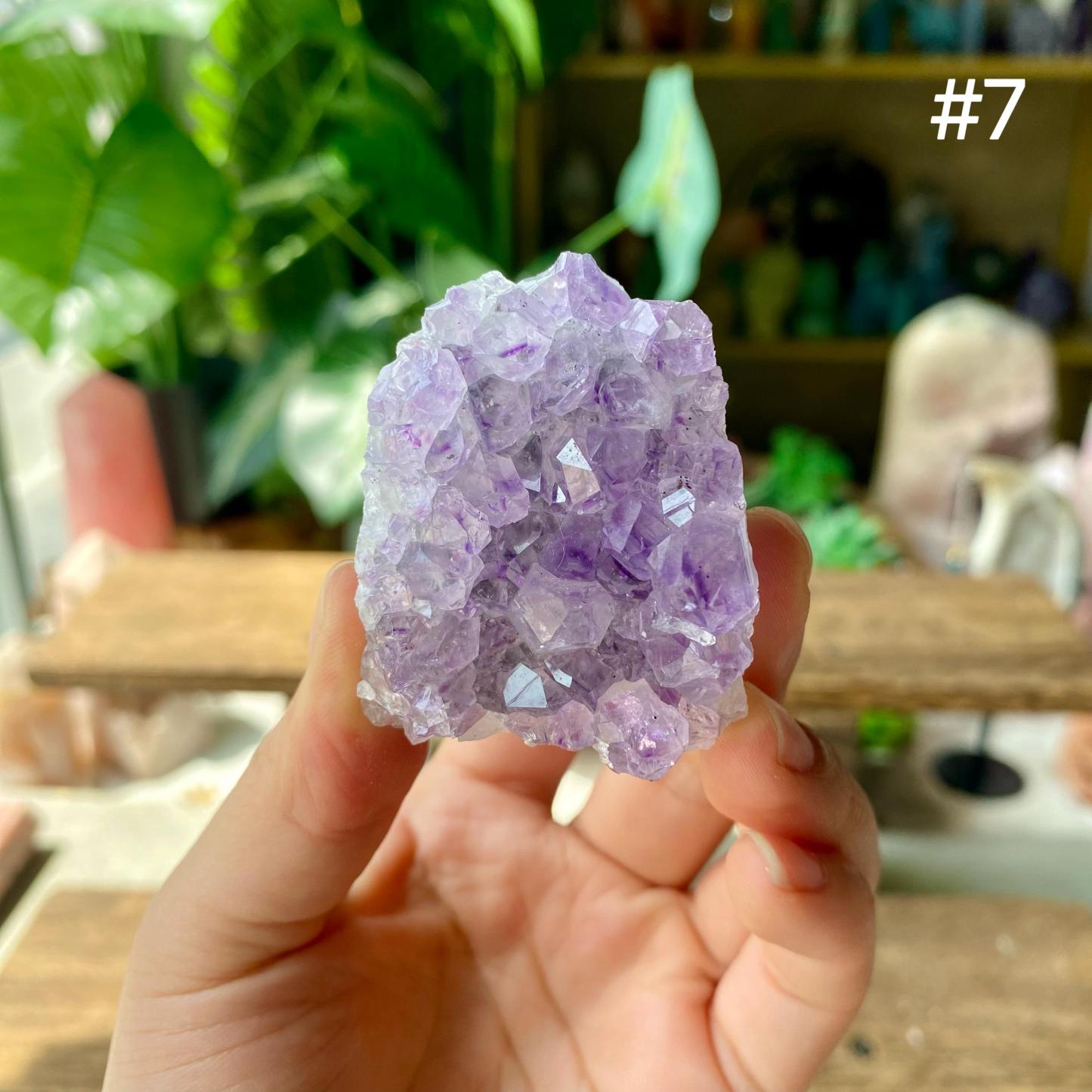 【Weekly Flash Deals】Amethyst Small Freeform Cluster