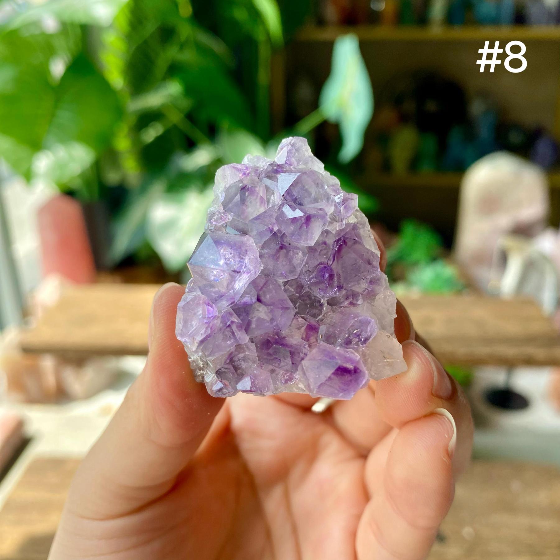 【Weekly Flash Deals】Amethyst Small Freeform Cluster