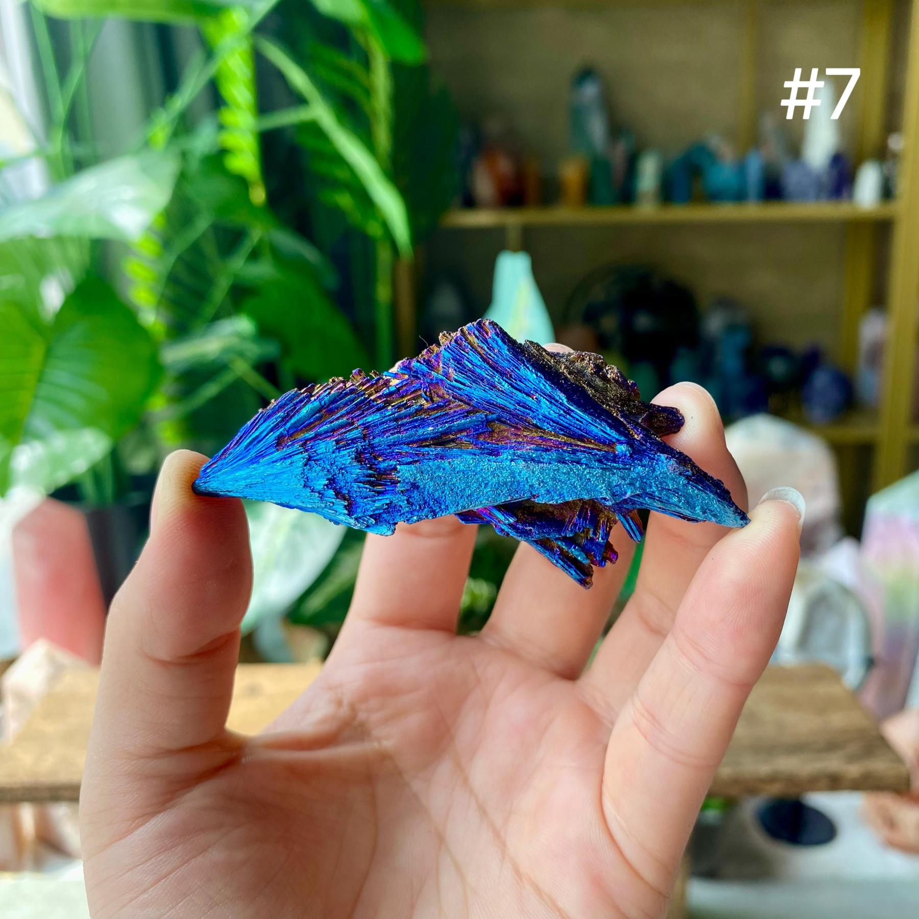 【Weekly Flash Deals】Aura Black Tourmaline Peacock Blue Feathers