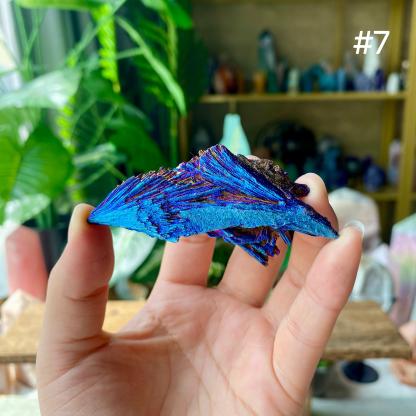 【Weekly Flash Deals】Aura Black Tourmaline Peacock Blue Feathers