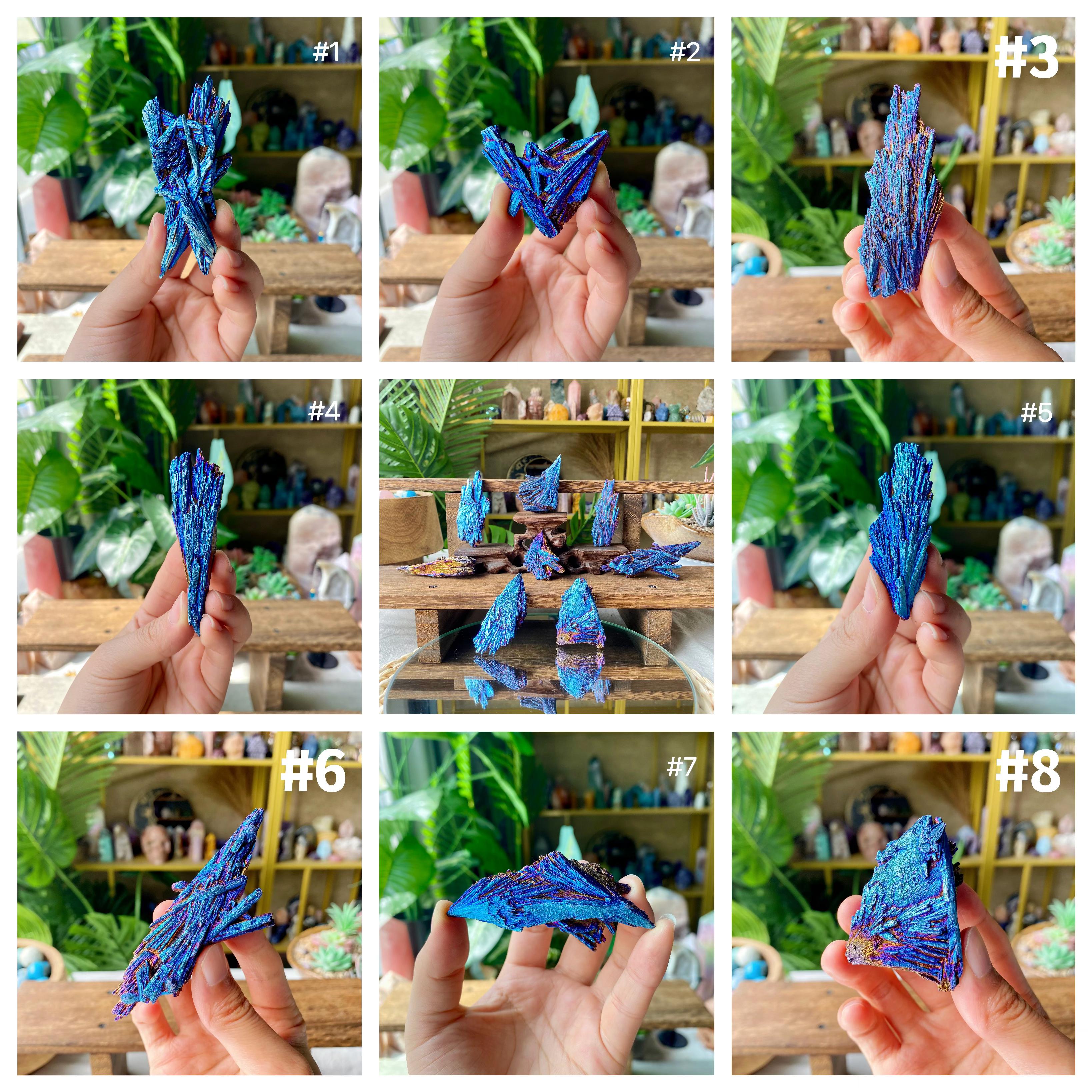 【Weekly Flash Deals】Aura Black Tourmaline Peacock Blue Feathers