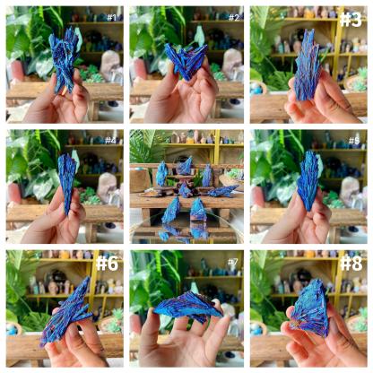 【Weekly Flash Deals】Aura Black Tourmaline Peacock Blue Feathers