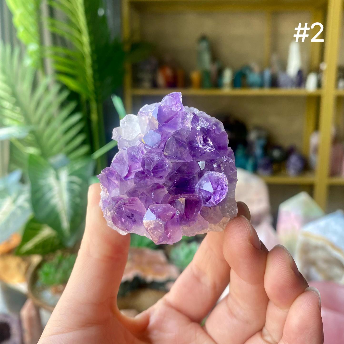 【Weekly Flash Deals】Amethyst Small Freeform Cluster