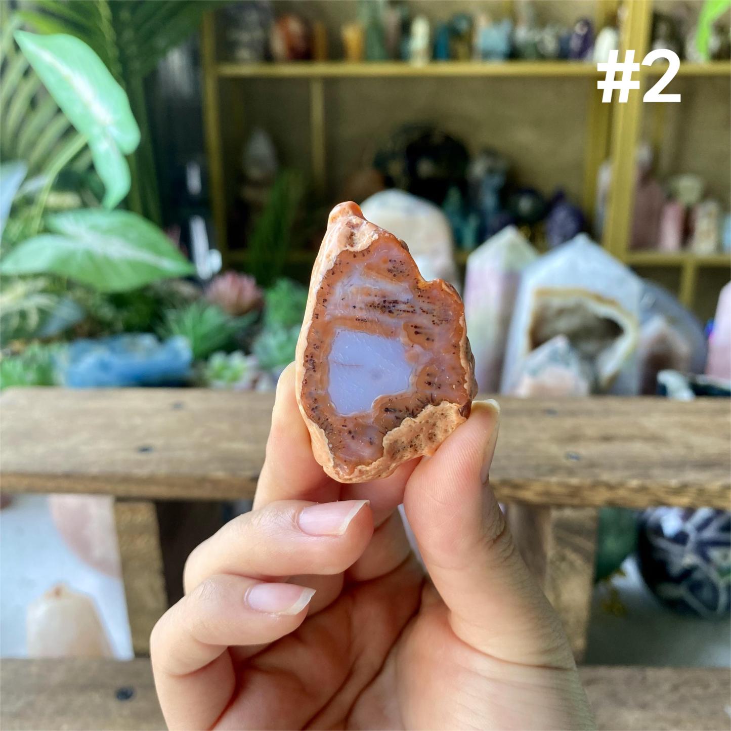 【Weekly Flash Deals】Colourful Agate Slice