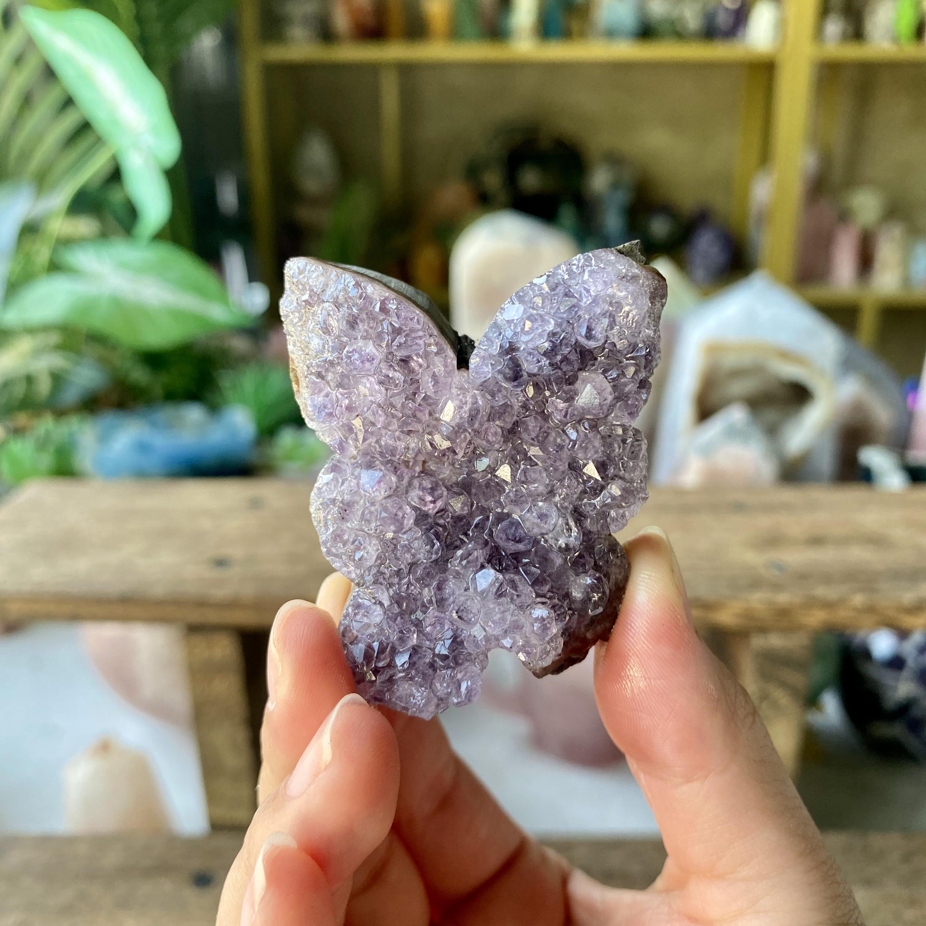 【Weekly Flash Deals】Amethyst Butterfly Cluster