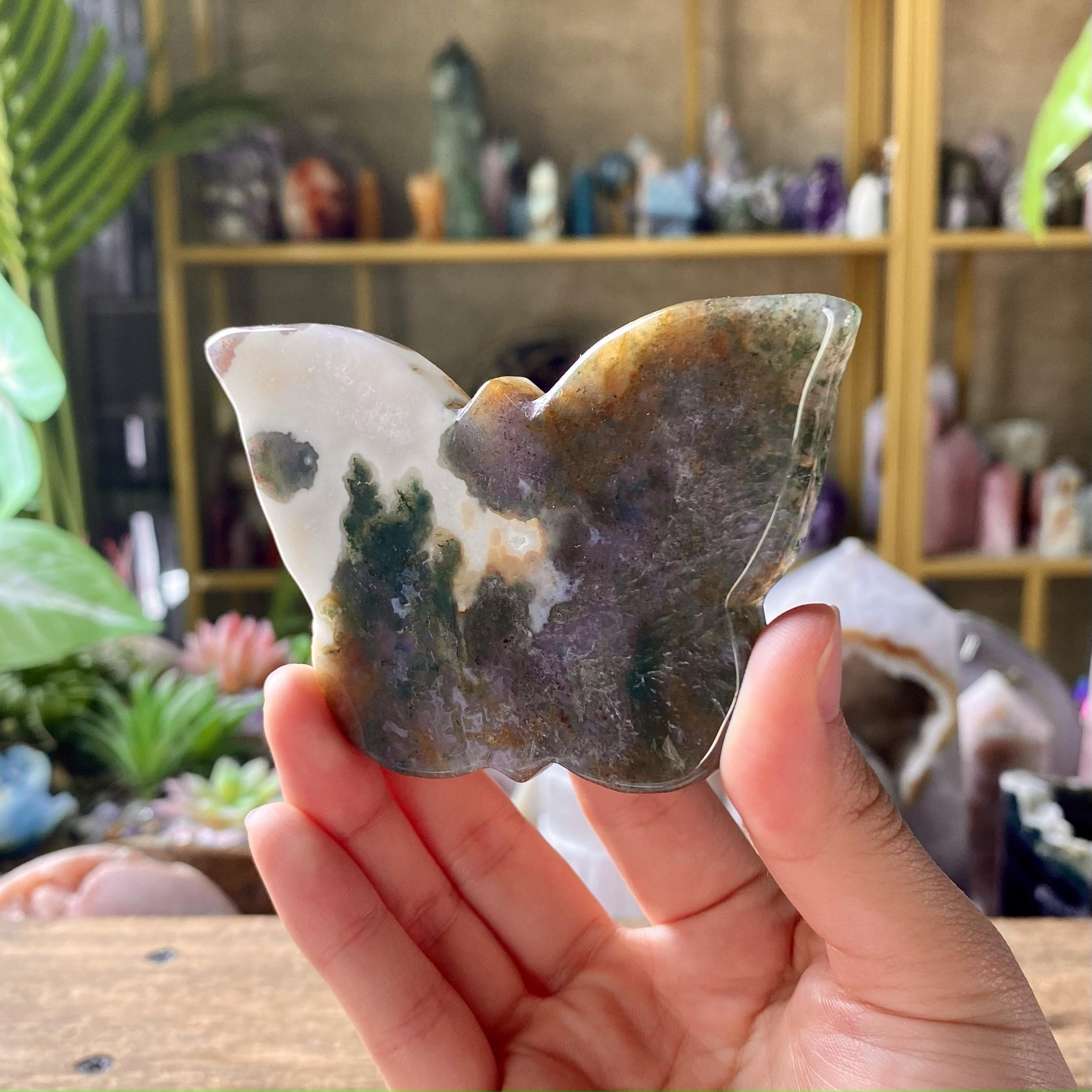 【Weekly Flash Deals】Carving 40