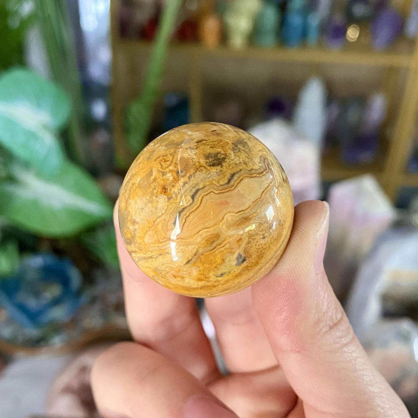 【Weekly Flash Deals】Carving 120