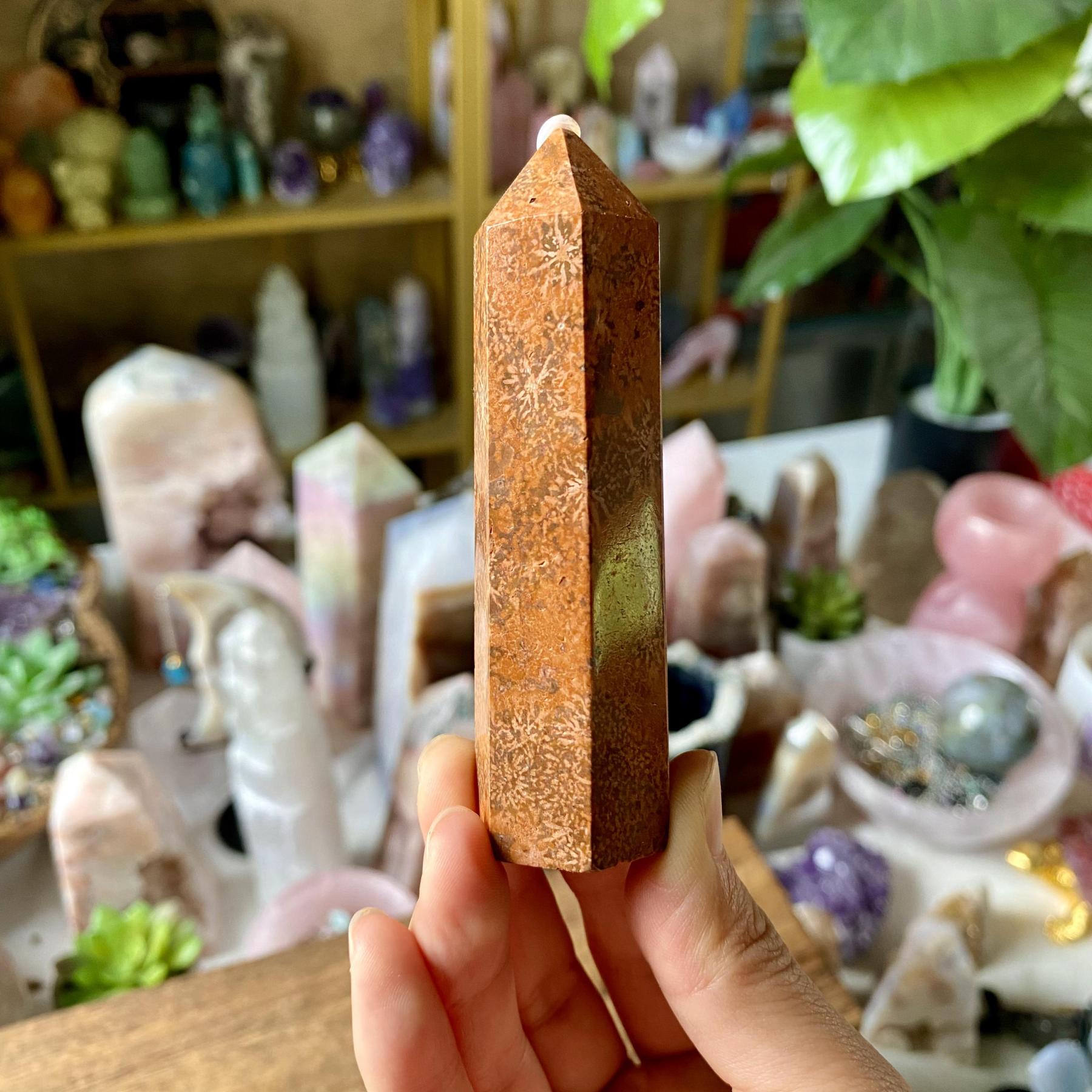 【Weekly Flash Deals】Carving 82