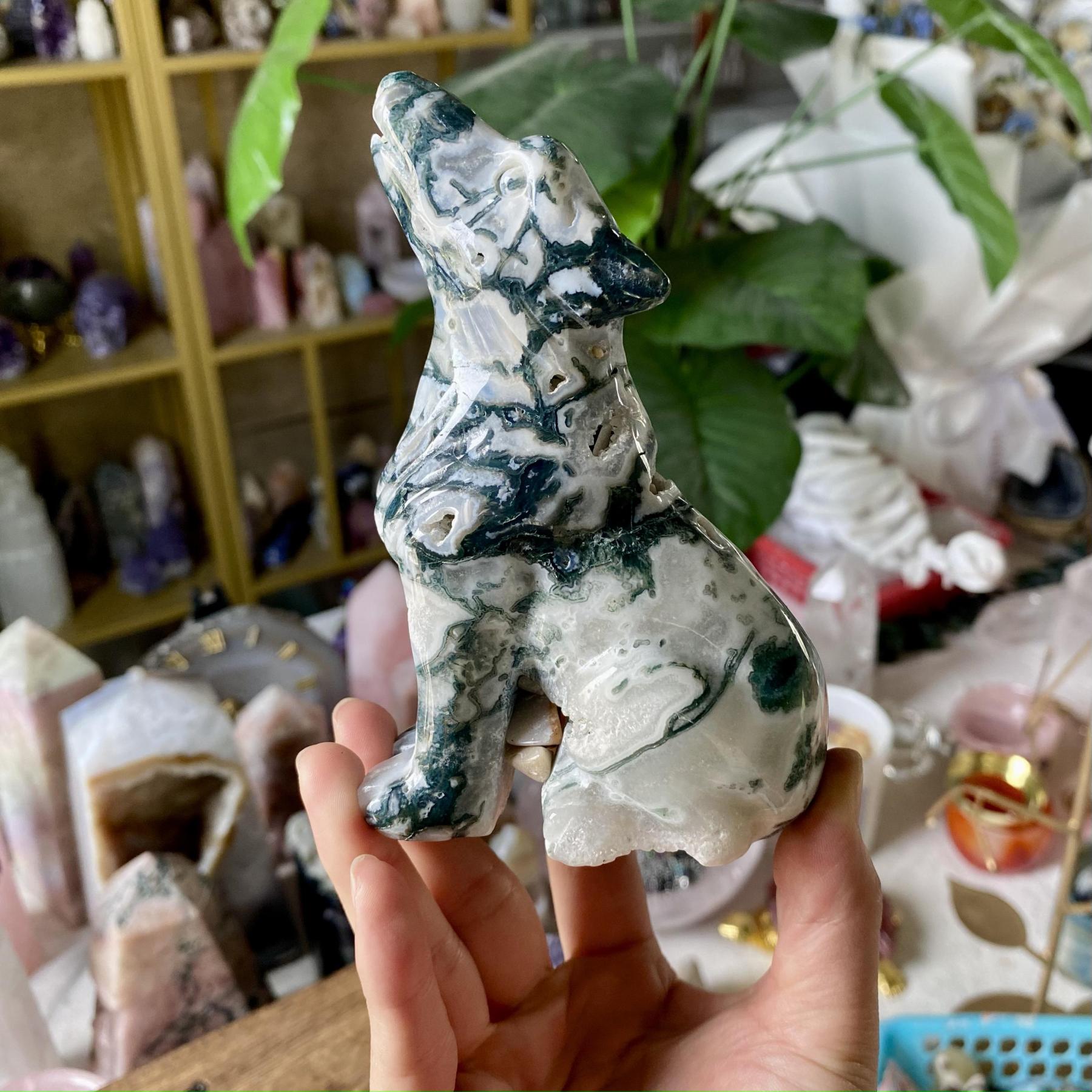 【Weekly Flash Deals】Carving 59