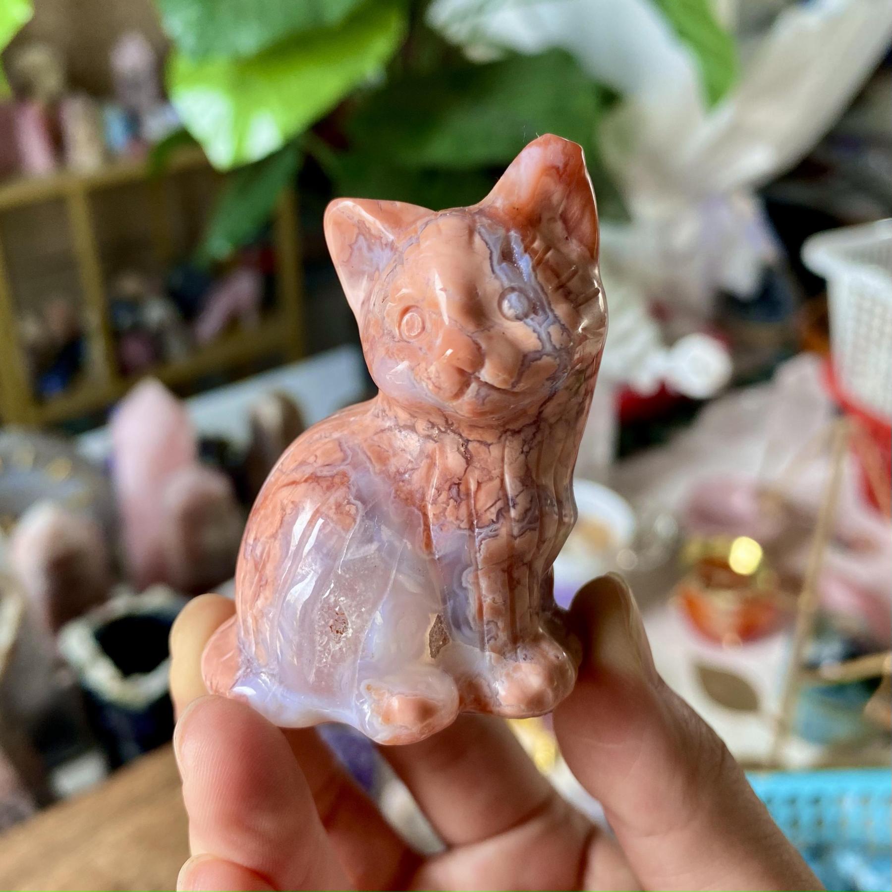 【Weekly Flash Deals】Carving 61