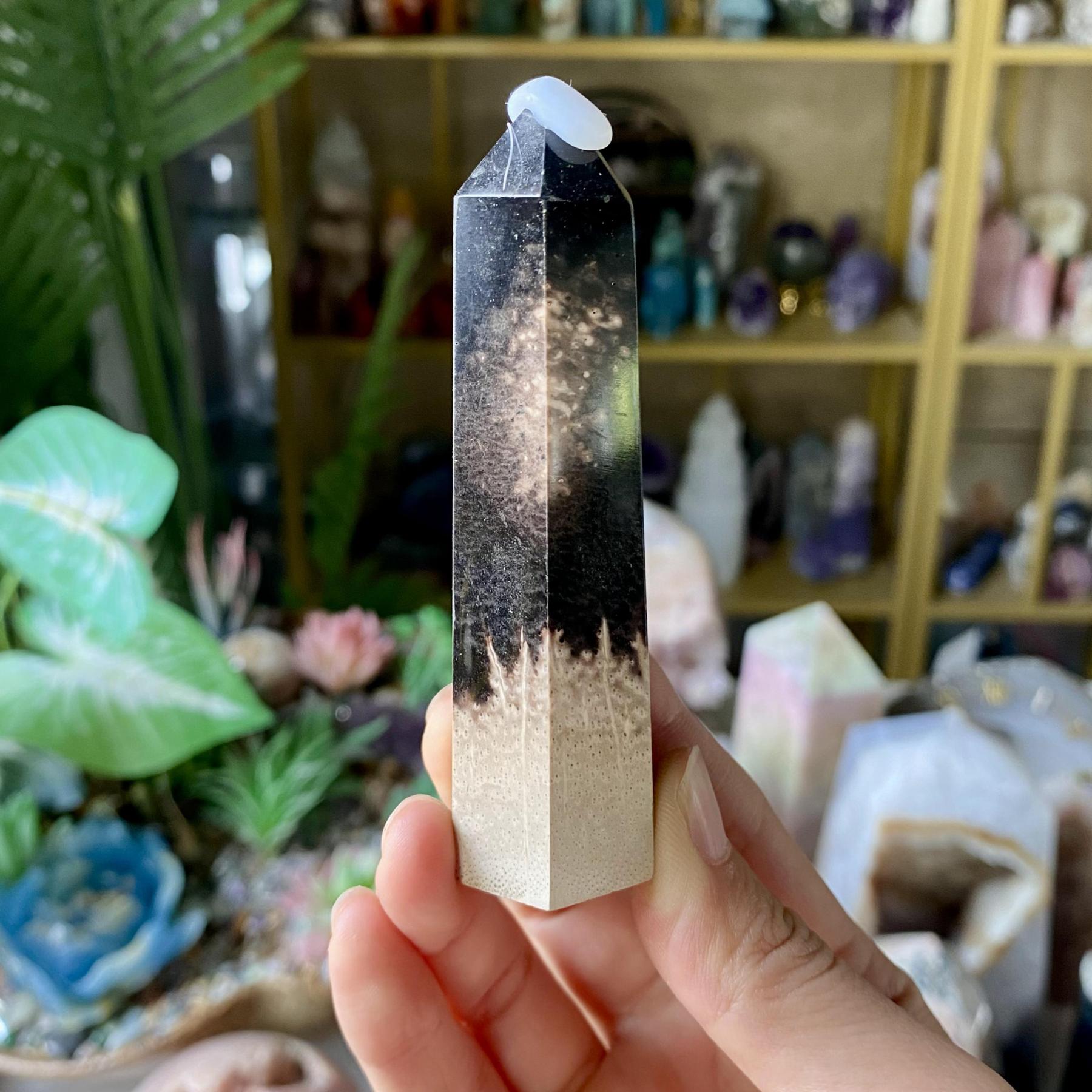 【Weekly Flash Deals】Carving 95