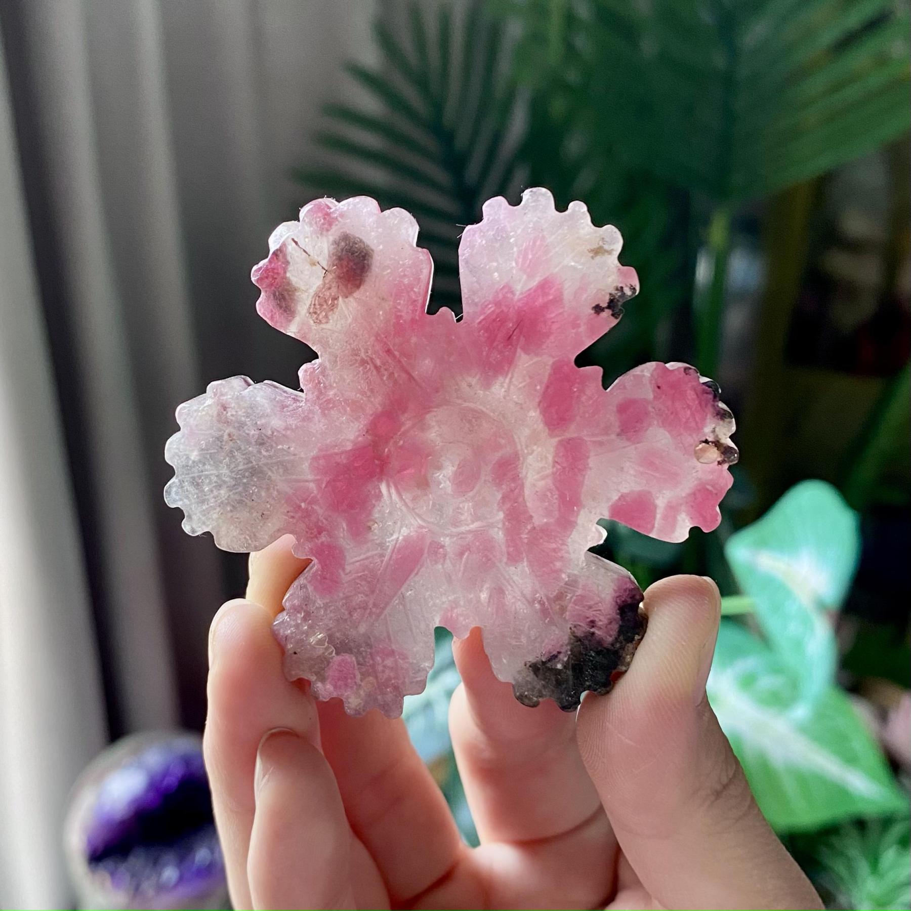 【Weekly Flash Deals】Carving 95