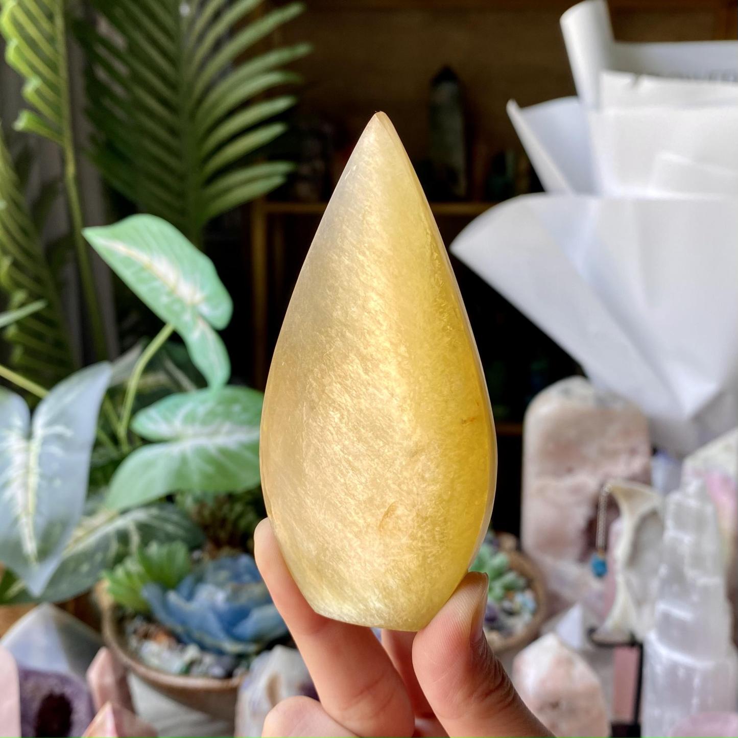 【Weekly Flash Deals】Carving 101