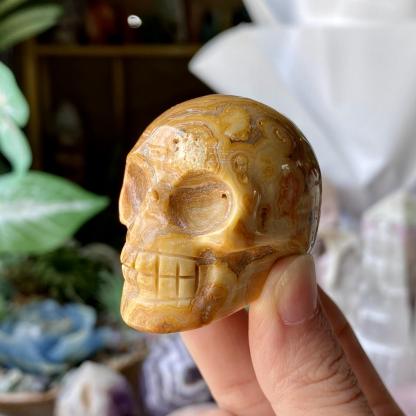 【Weekly Flash Deals】Carving 101