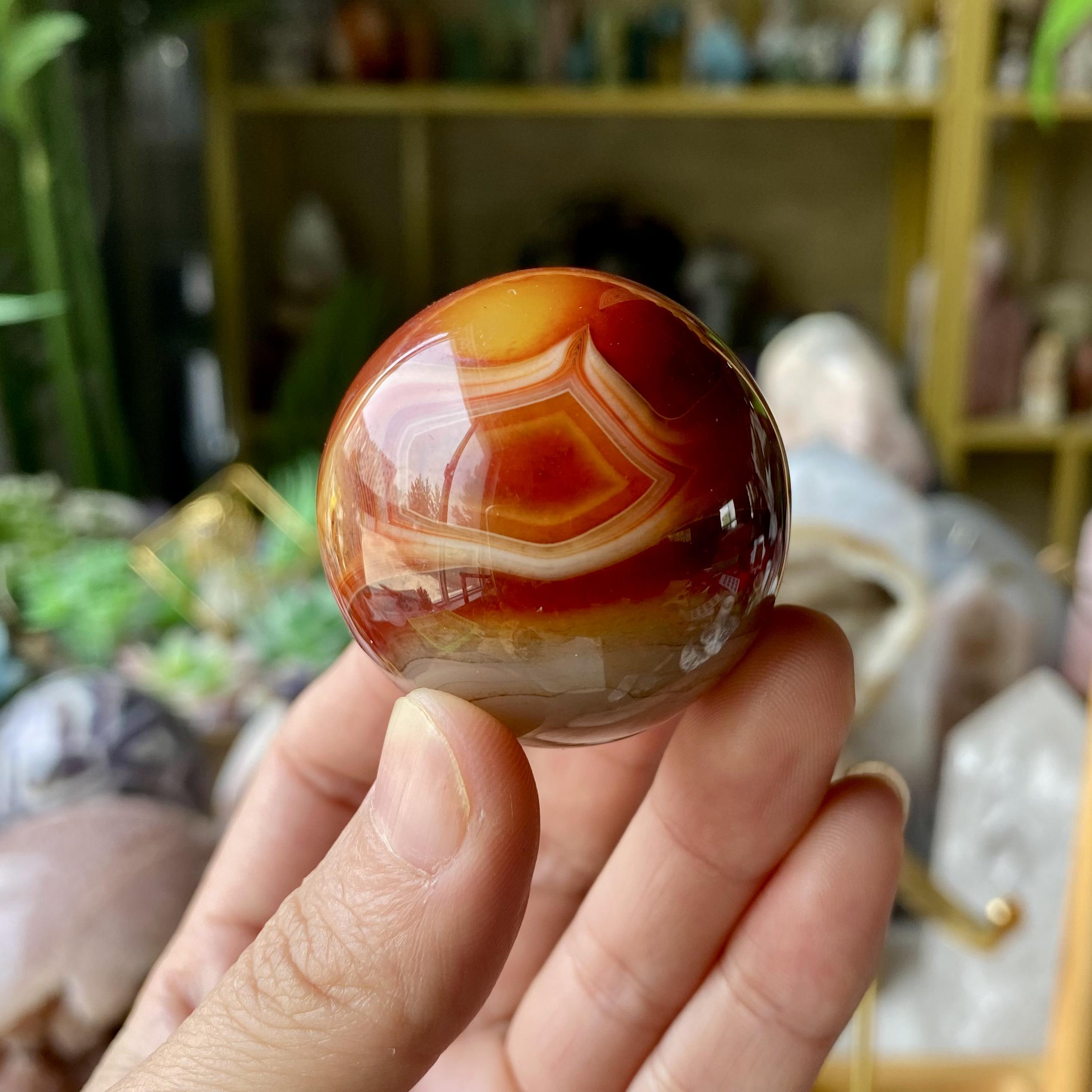 【Weekly Flash Deals】Carving 71