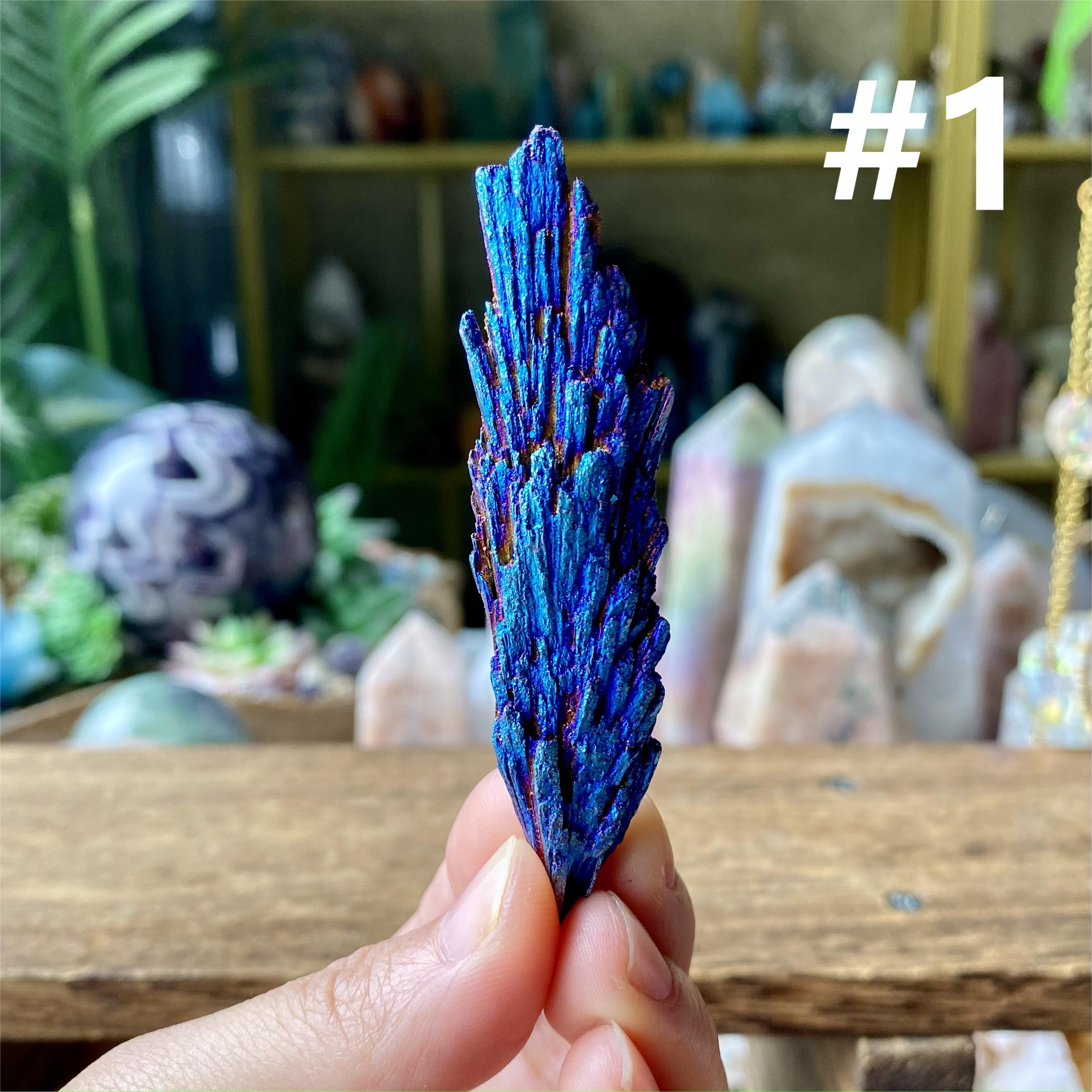 【Weekly Flash Deals】Aura Black Tourmaline Peacock Blue Feathers