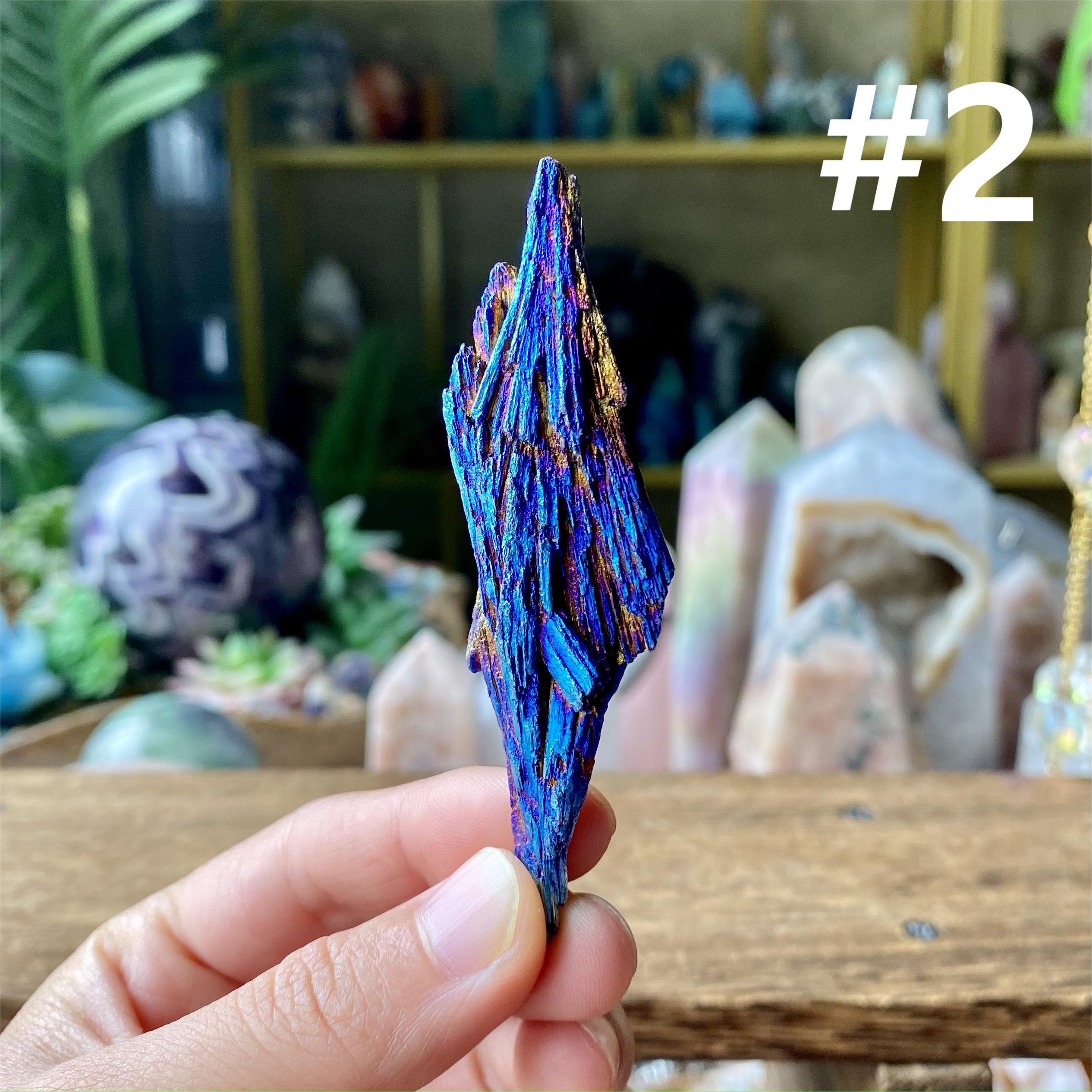 【Weekly Flash Deals】Aura Black Tourmaline Peacock Blue Feathers