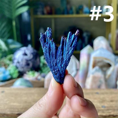 【Weekly Flash Deals】Aura Black Tourmaline Peacock Blue Feathers