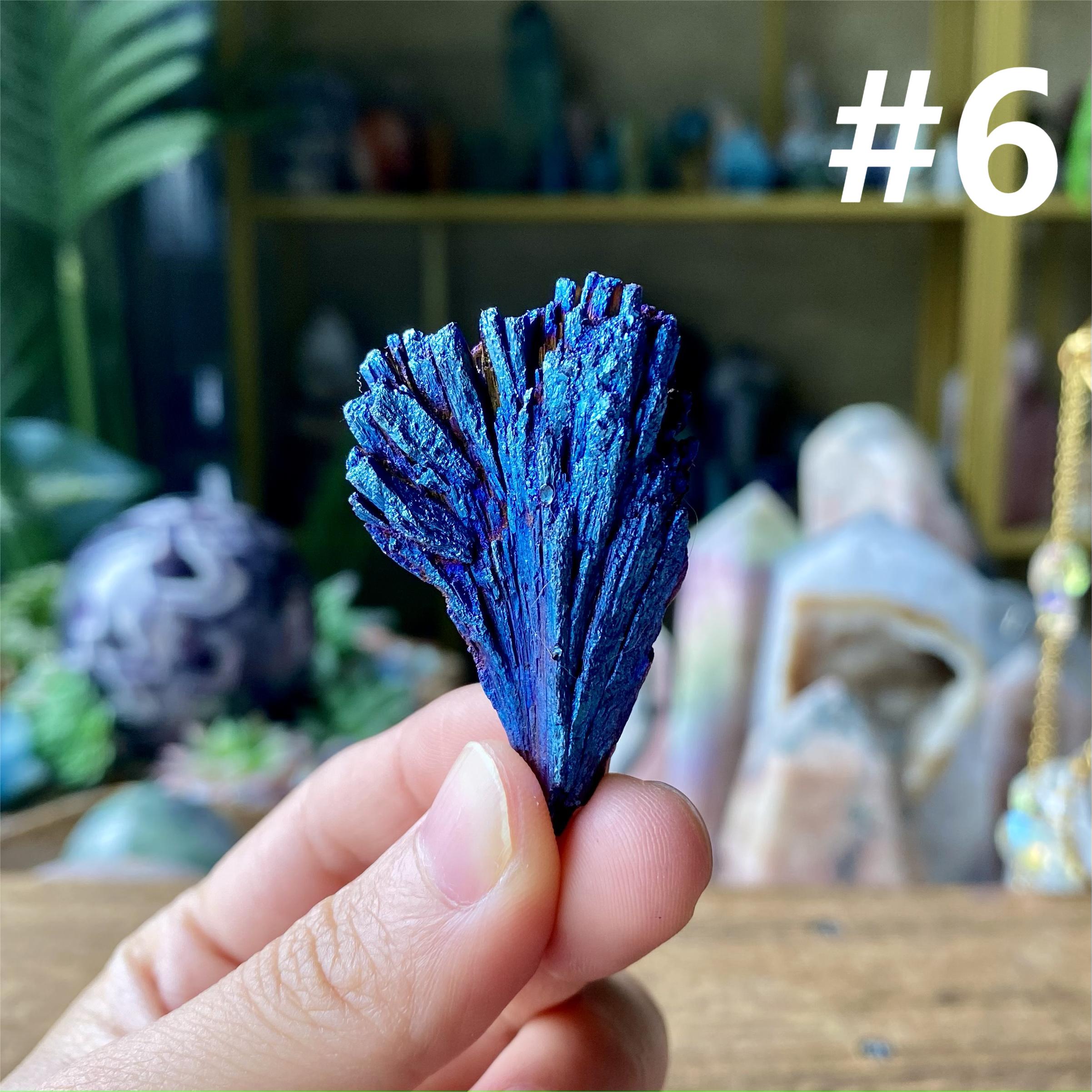 【Weekly Flash Deals】Aura Black Tourmaline Peacock Blue Feathers