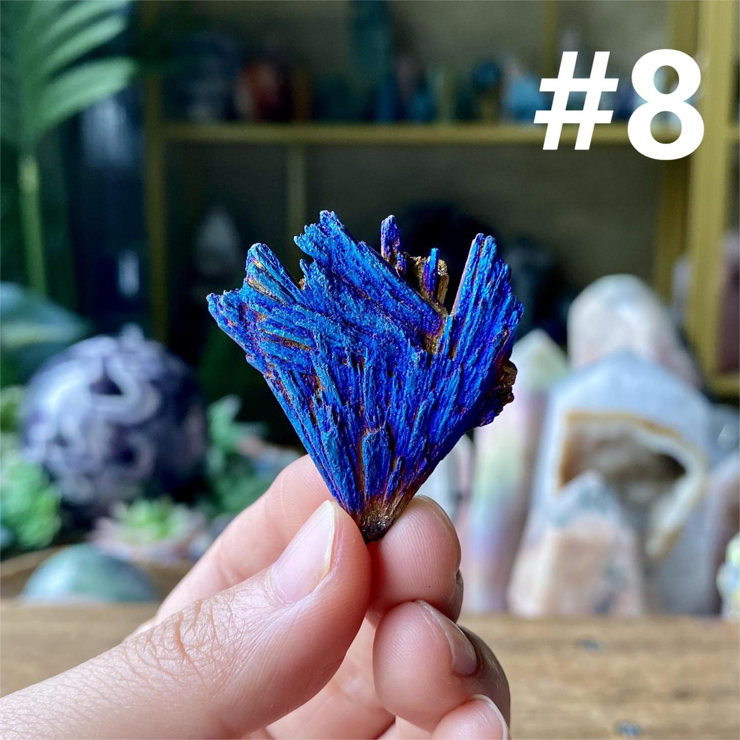 【Weekly Flash Deals】Aura Black Tourmaline Peacock Blue Feathers